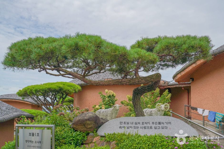 보성 골망태다원