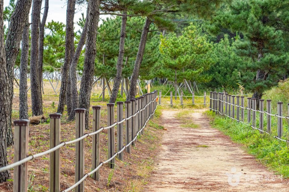 평해사구습지 생태공원