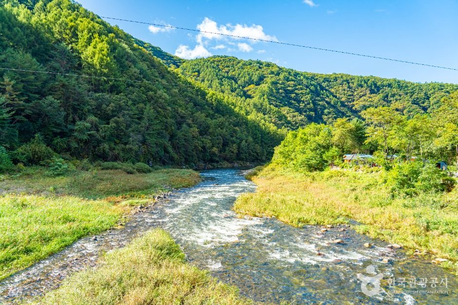 thumbnail-수입천-8