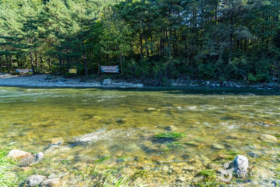 인제_진동계곡 (7)