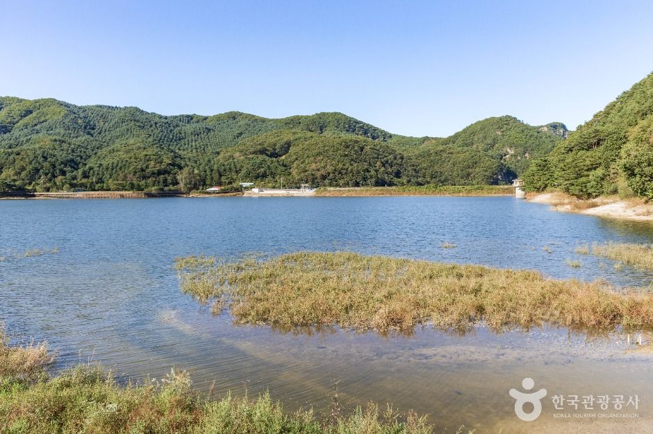 thumbnail-용화저수지-11