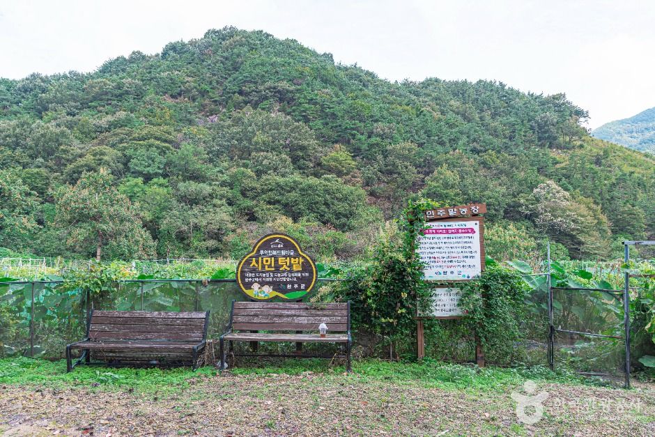 완주_두억행복드림마을 (3)