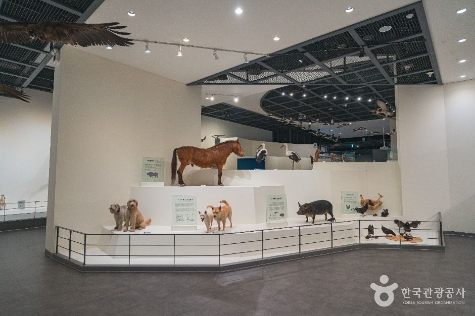 천연기념물센터