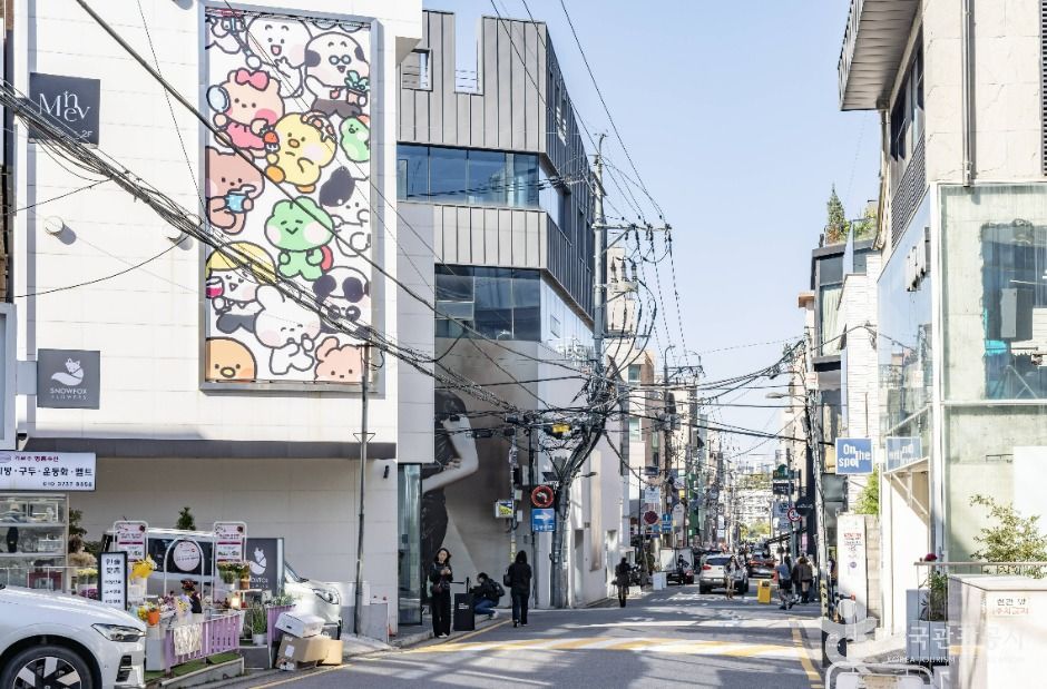 신사동 가로수길