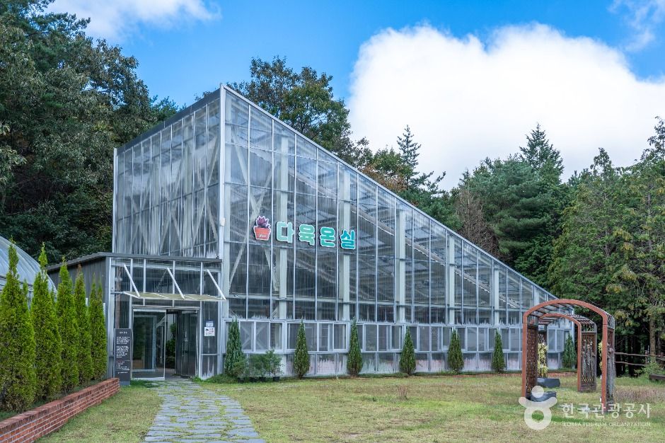 보령 무궁화수목원