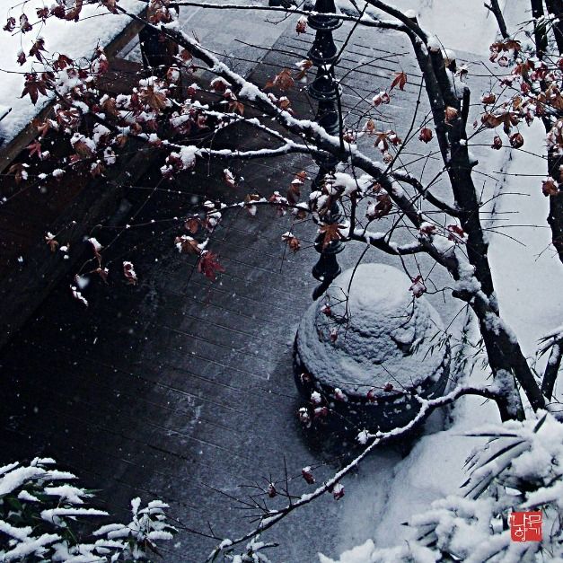 나무향기 한증막_2