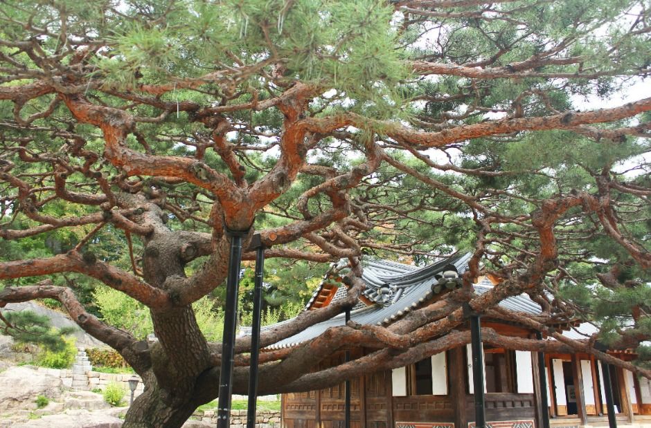 대원군별장(석파정)