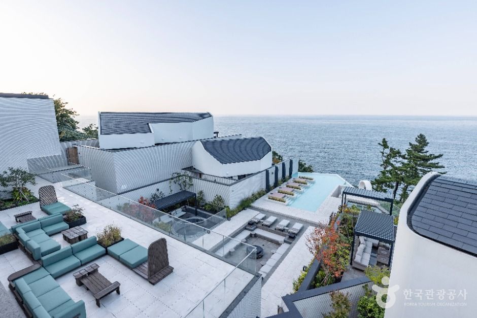 울릉_코스모스 울릉도 (17)