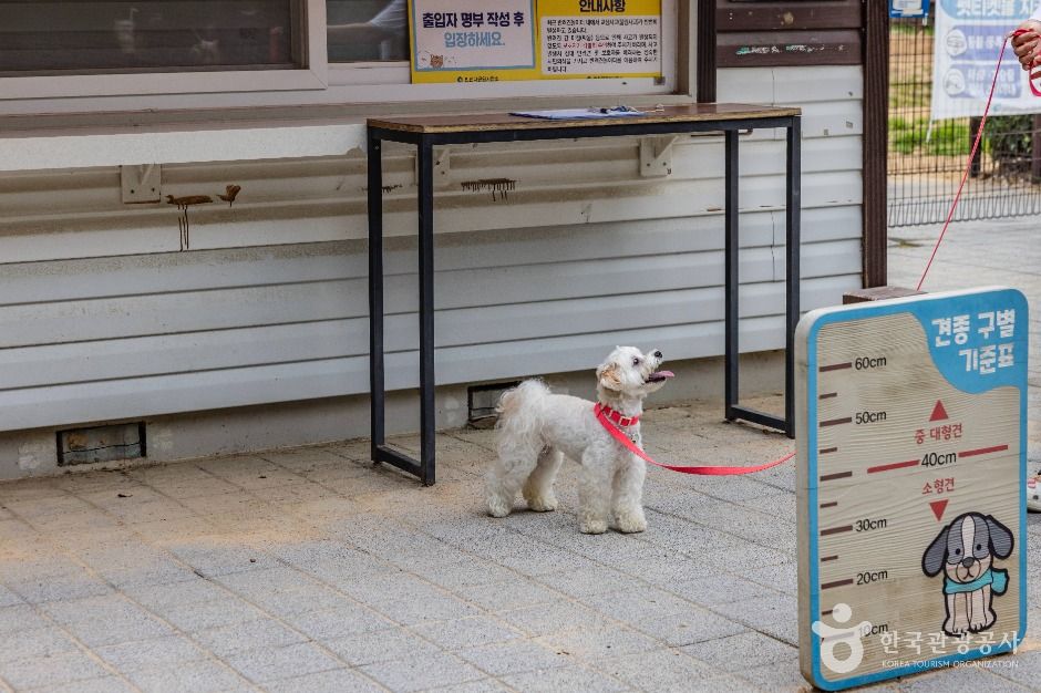 인천_인천대공원 반려동물 놀이터 (7)