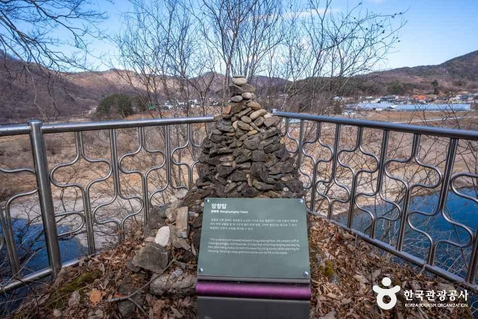 thumbnail-영월 청령포-11