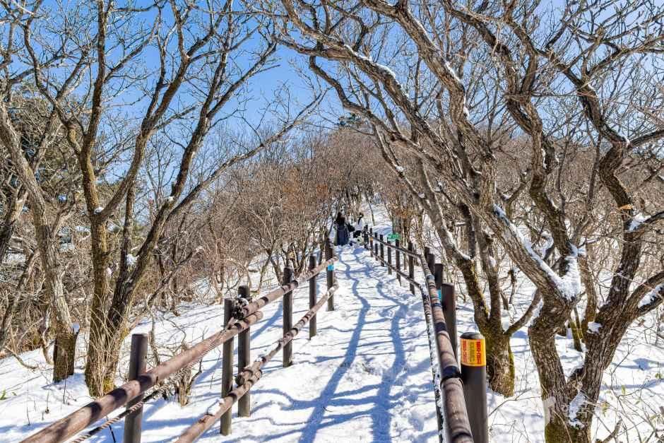 thumbnail-향적봉(덕유산)-5