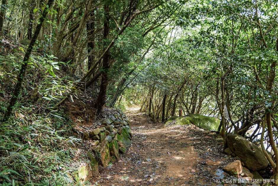 thumbnail-월출산국립공원 경포대지구-5