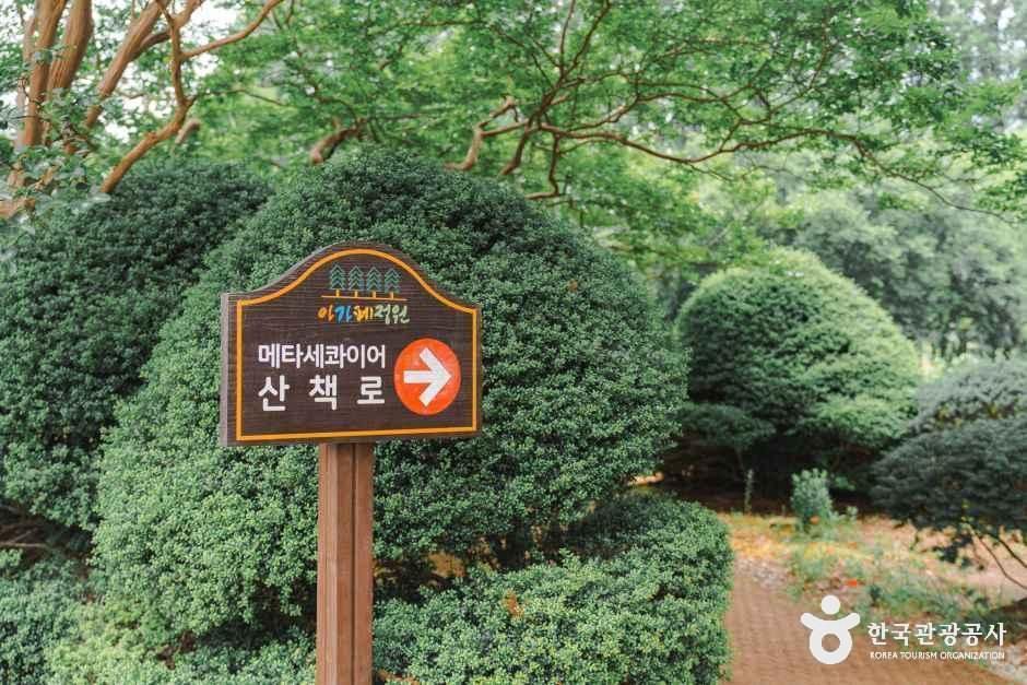thumbnail-아가페정원-28