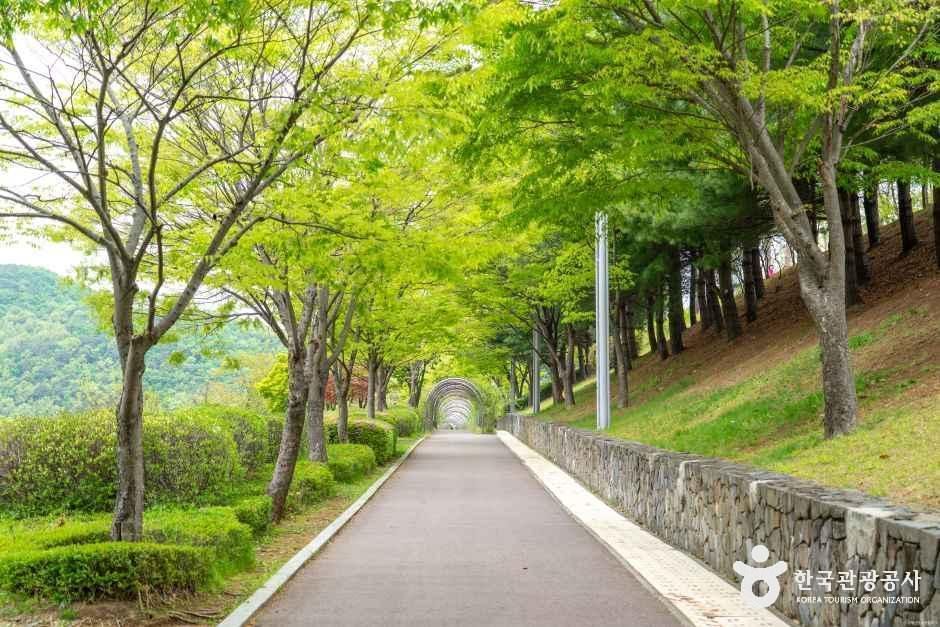 thumbnail-병목안 시민공원-10
