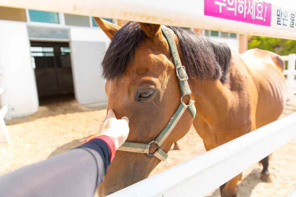 thumbnail-장수승마레저파크-2