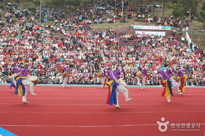 Jindo Miracle Sea Festival (진도 신비의바닷길축제)