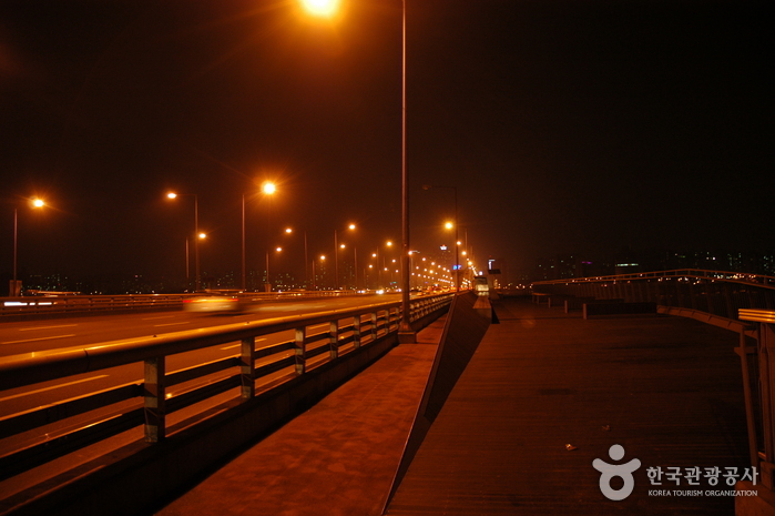 麻浦大桥夜景(마포대교 야경)