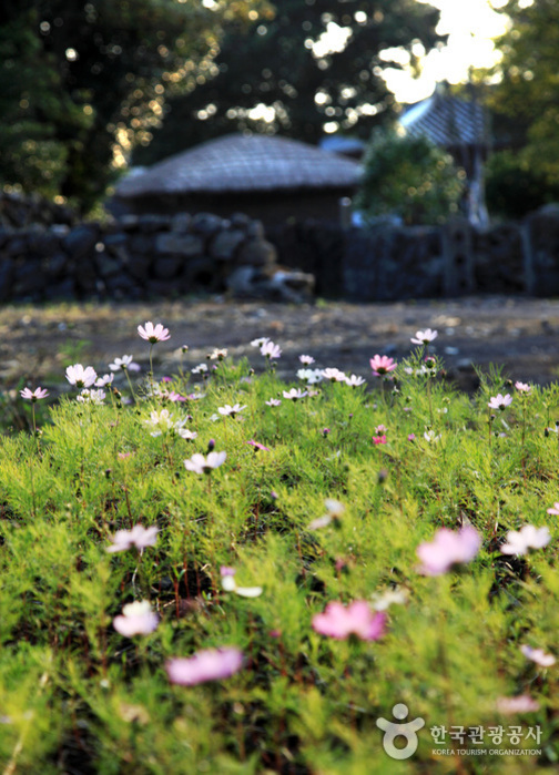 Seongeup Folk Village (성읍민속마을)