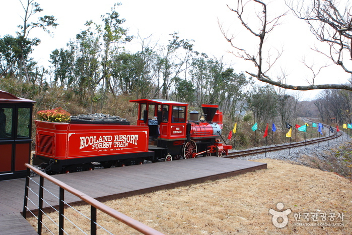 Eco Land Theme Park (에코랜드테마파크)