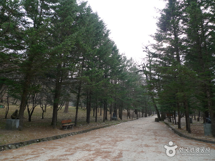 Parque Nacional del Monte Songnisan (속리산국립공원)