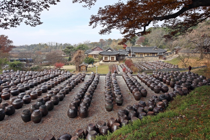 느티나무숲에서 본 항아리와 명재고택