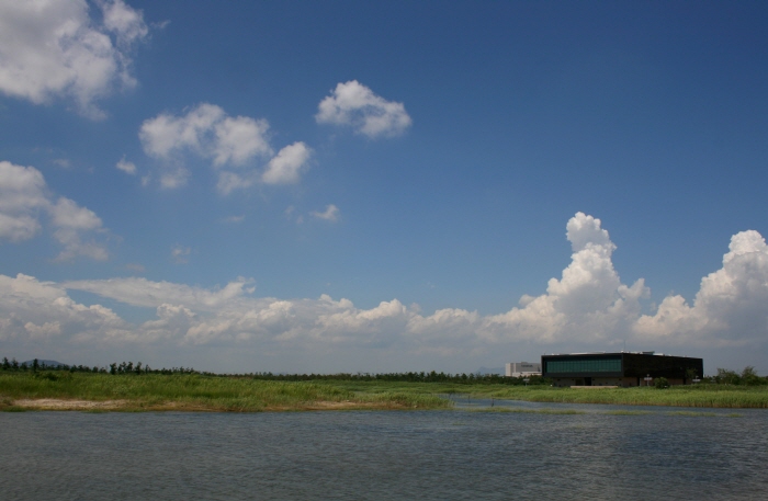 île Eulsukdo (을숙도 공원)