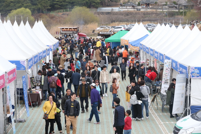 대청호 벚꽃축제2