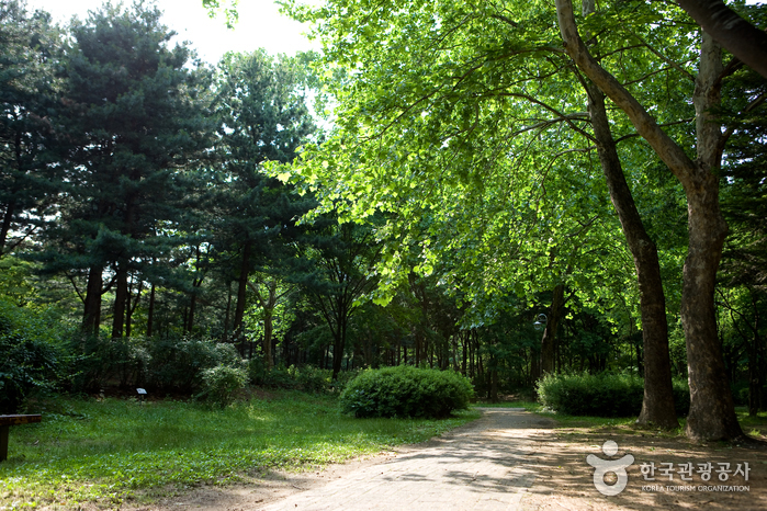 Parc des citoyens de Yangjae (양재 시민의숲)
