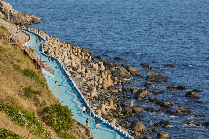 Jeoryeong Coastal Walking trail 01