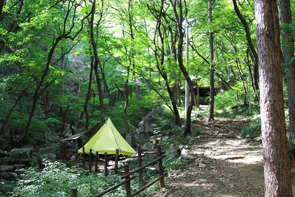 오서산자연휴양림0