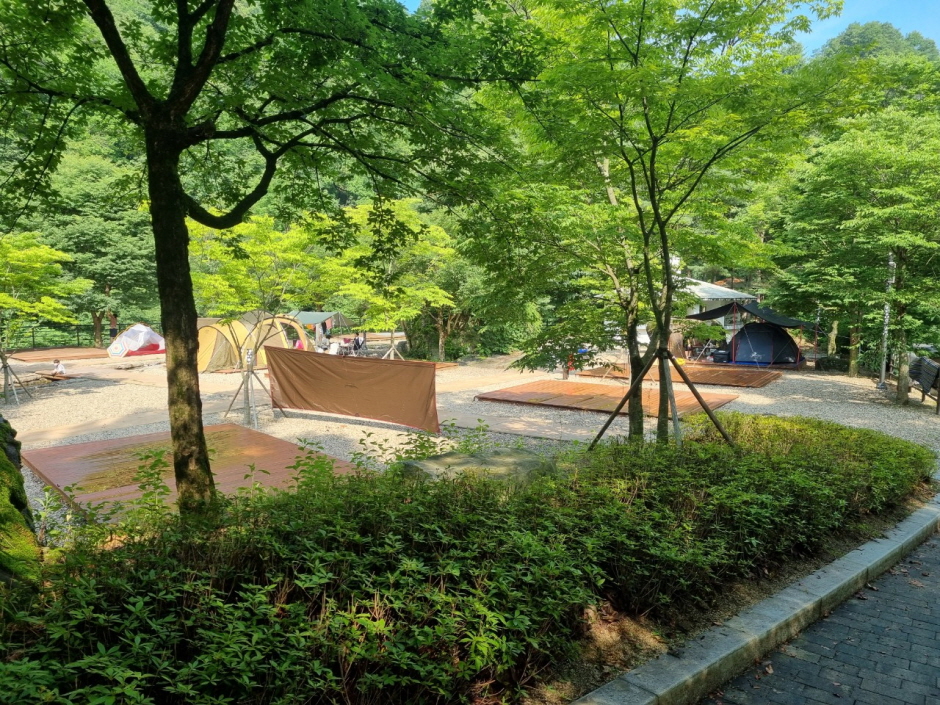 다리안관광지 캠핑장
