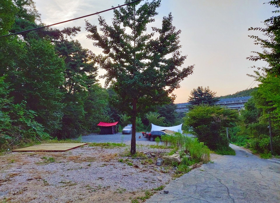 바람숲 캠핑 야영장
