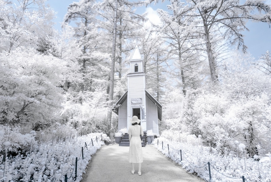 아침고요수목원