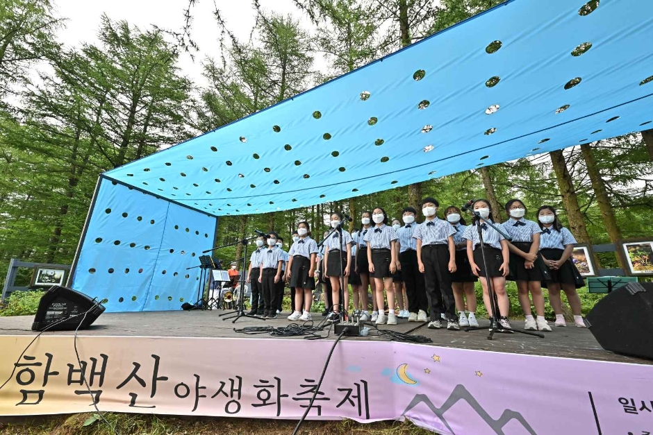 Hambaeksan Wildflower Festival (함백산 야생화축제)