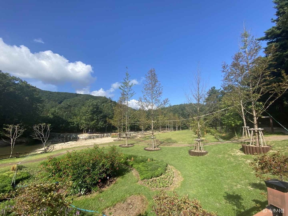 雪岳山野生植物园 (설악산 자생식물원)