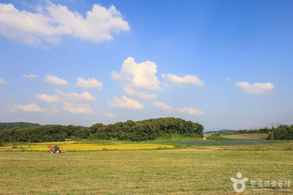 경기_안성_경기옛길 영남길 제9길 죽산성지순례길 (6)