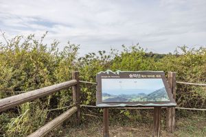 송악산전망대