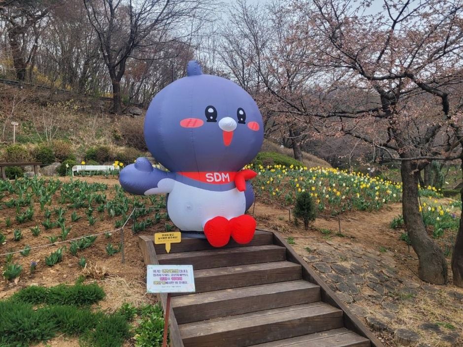 서대문 봄빛축제
