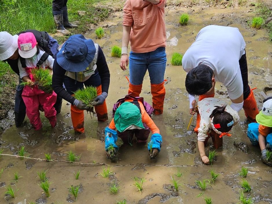 맹산반딧불이자연학교