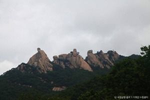 서울_[북한산 둘레길 21구간] 우이령길 (9)