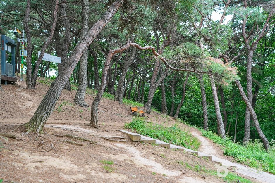 장무공원