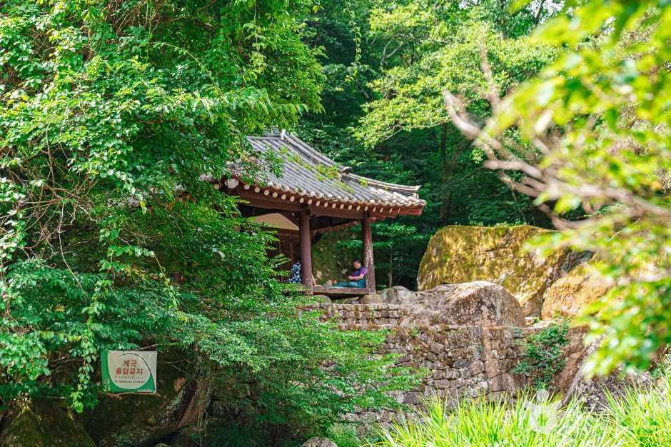[무등산 옛길 3구간] 장원삼거리-환벽당