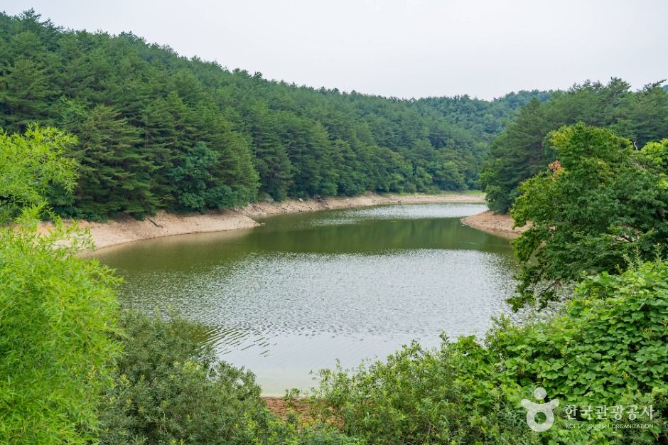 강릉_죽헌저수지 (7)