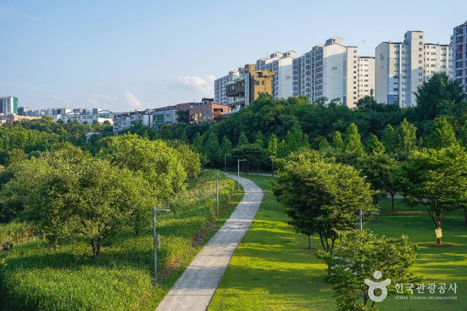 공항교강변공원