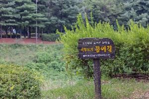 인천_굴포천 생태하천 (13)