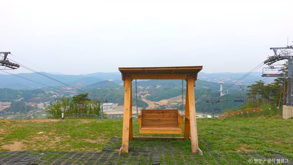 평창_알펜시아 알파인코스터 (3)