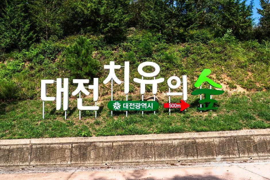 대전 치유의 숲