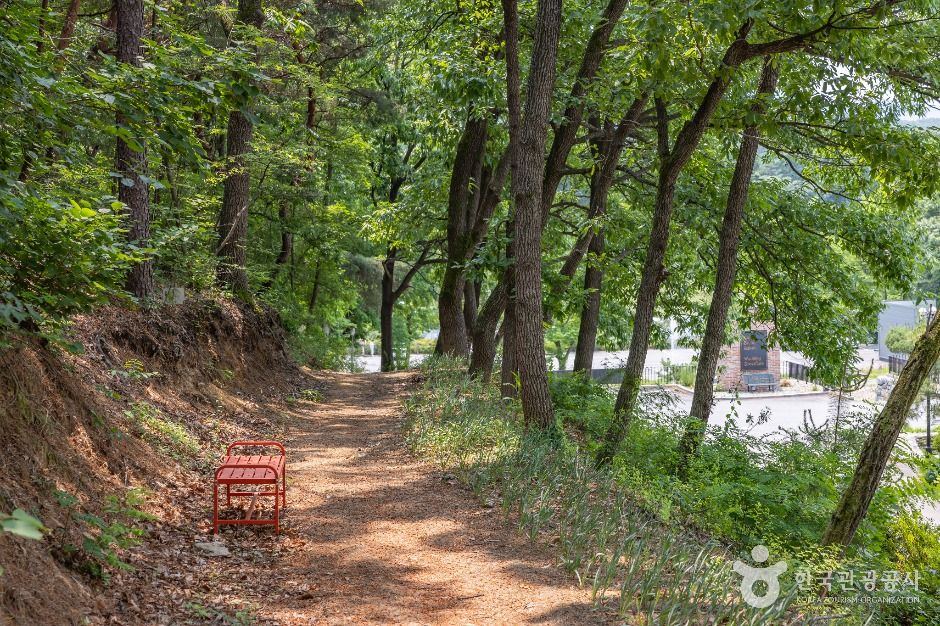 괴산_해듬카페 (17)