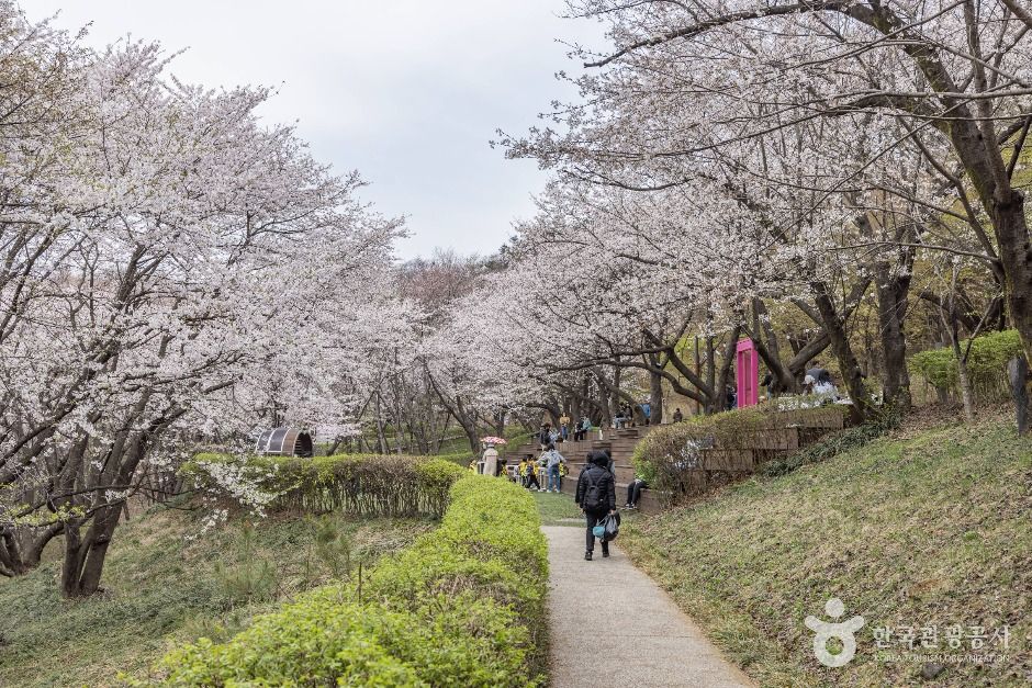 연희숲속쉼터