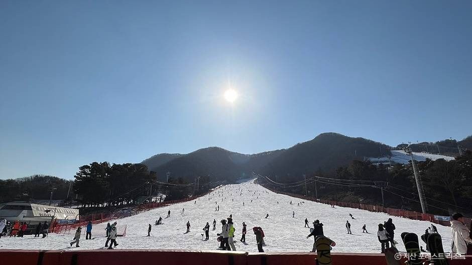 지산 포레스트 리조트 스키장